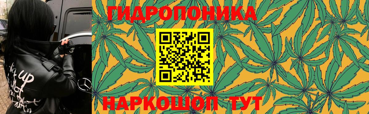 Баксан  Канабис THC 21%  Канабис семена  Шишки марихуана семена  Вход с VPN 